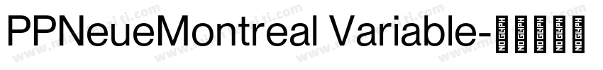 PPNeueMontreal Variable字体转换